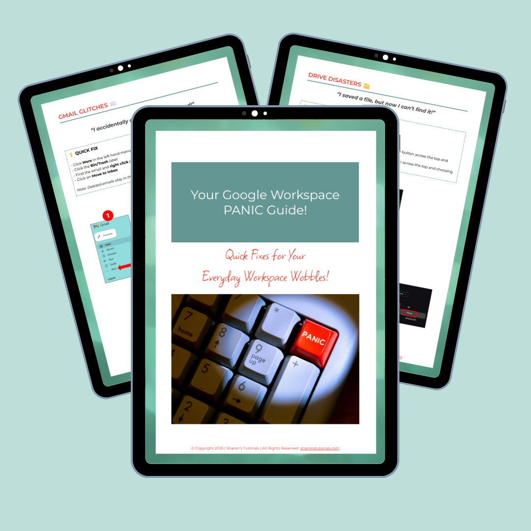 Google Workspace Panic Guide